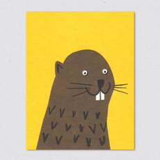 Beaver card