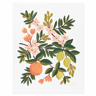 Citrus Floral poster